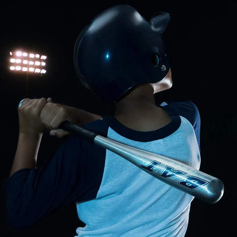 Baseball Bat (Silver) | 5  Years