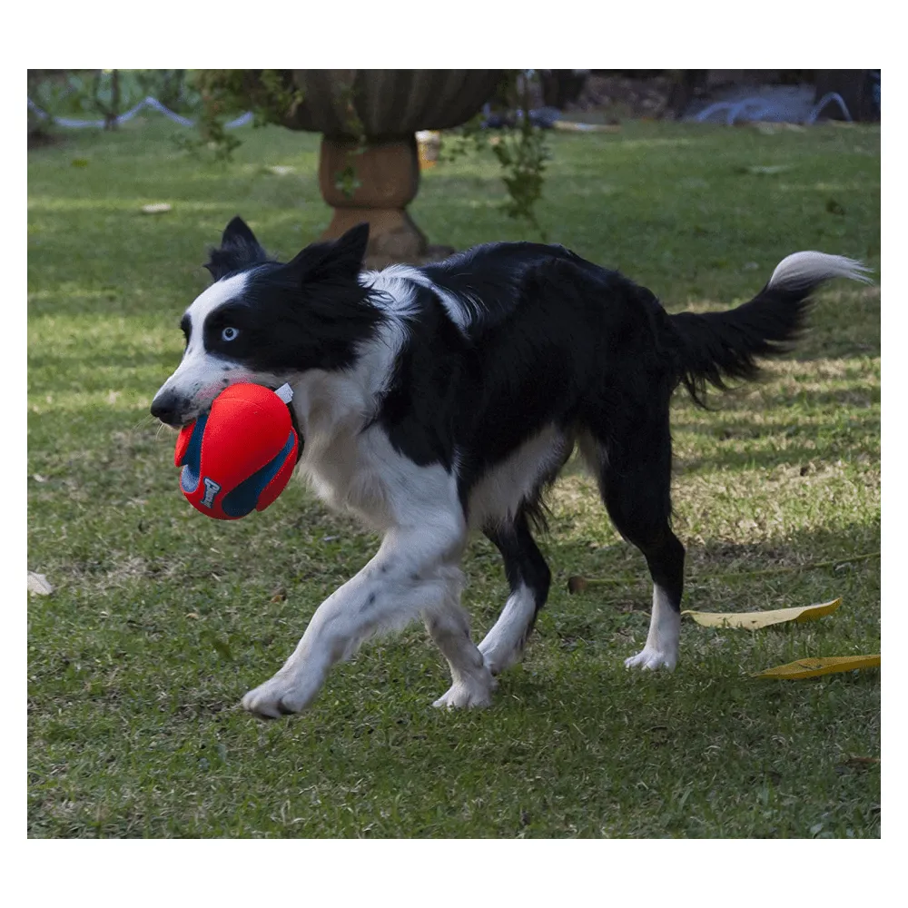 Chuckit! Fumble Fetch Toy for Dogs