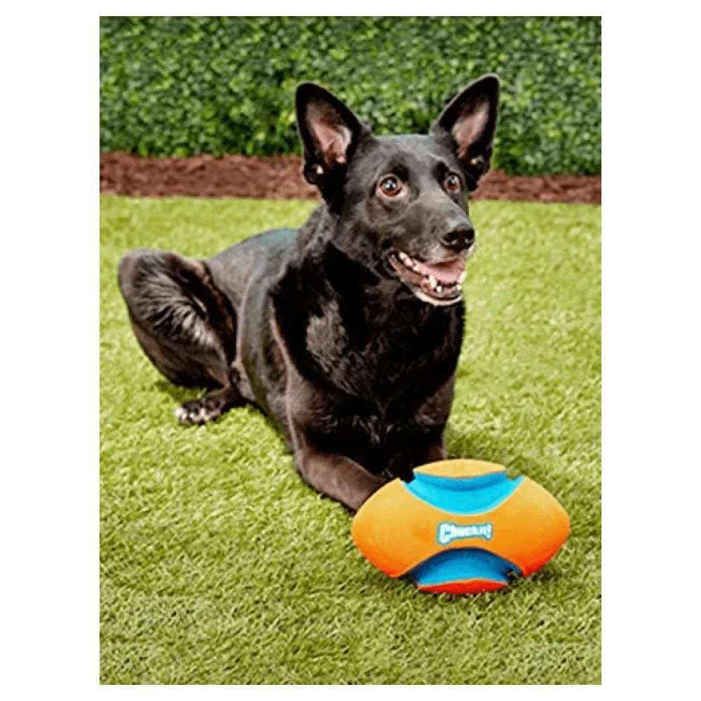 Chuckit! Fumble Fetch Toy for Dogs