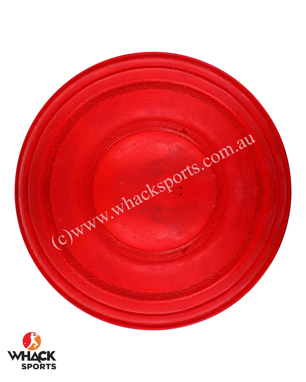 DSC Cricket Wobble Ball