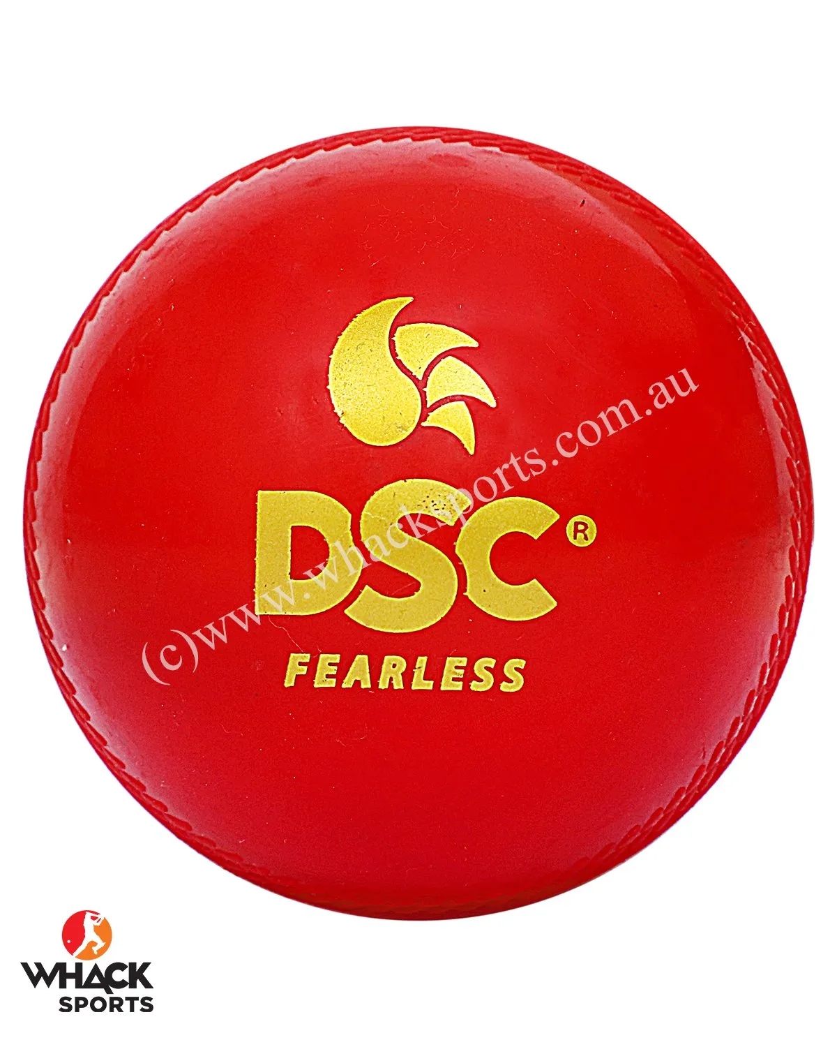 DSC Cricket Wobble Ball